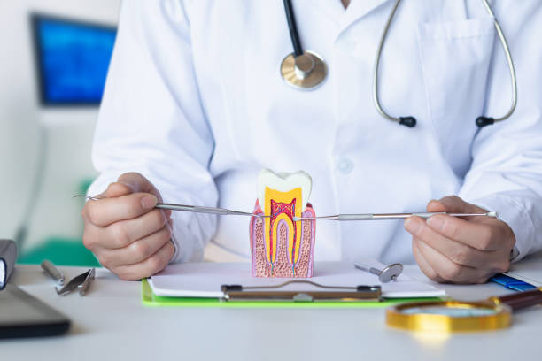 Best Emergency Root Canal Treatment in Elwood, KS